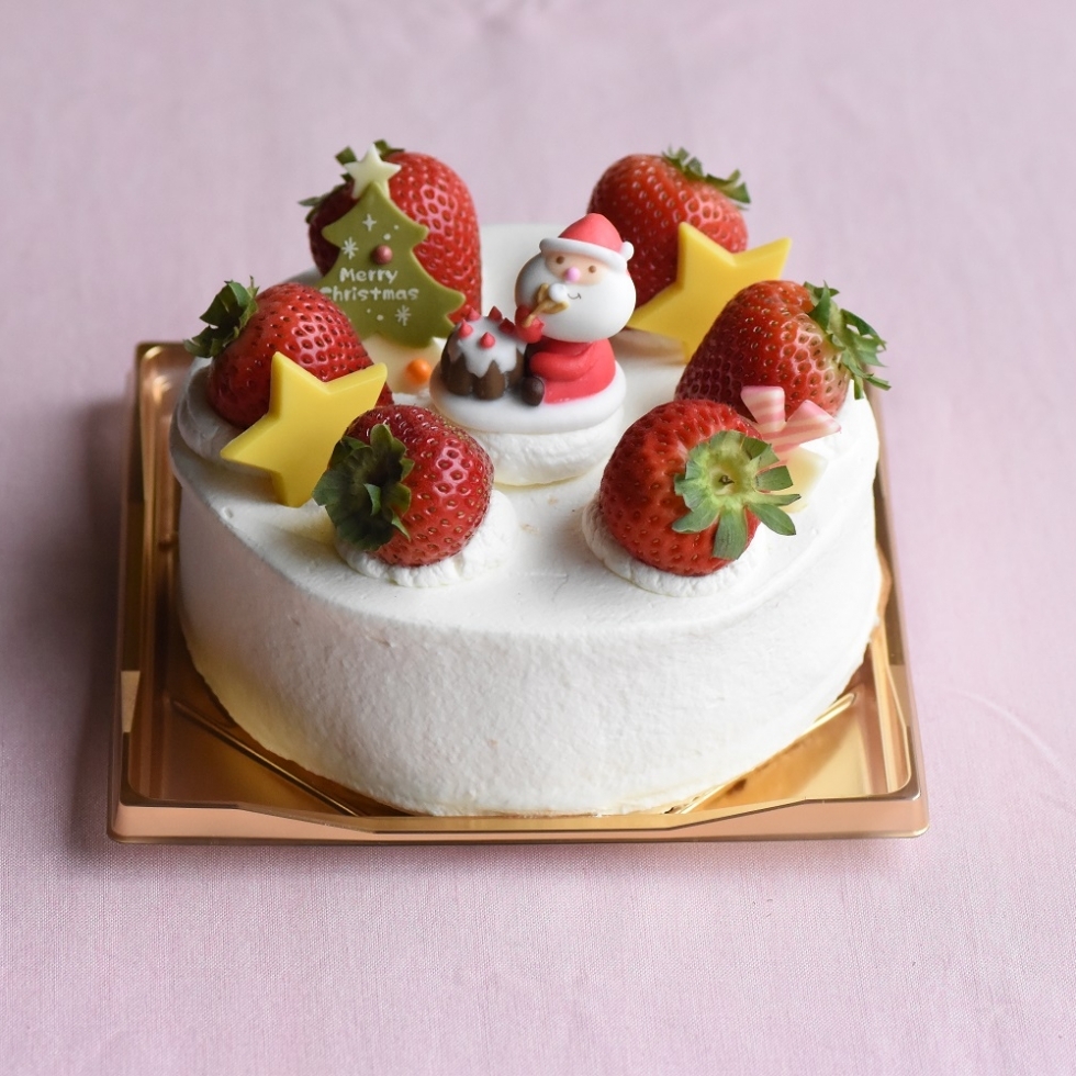 クリスマス生デコレーション