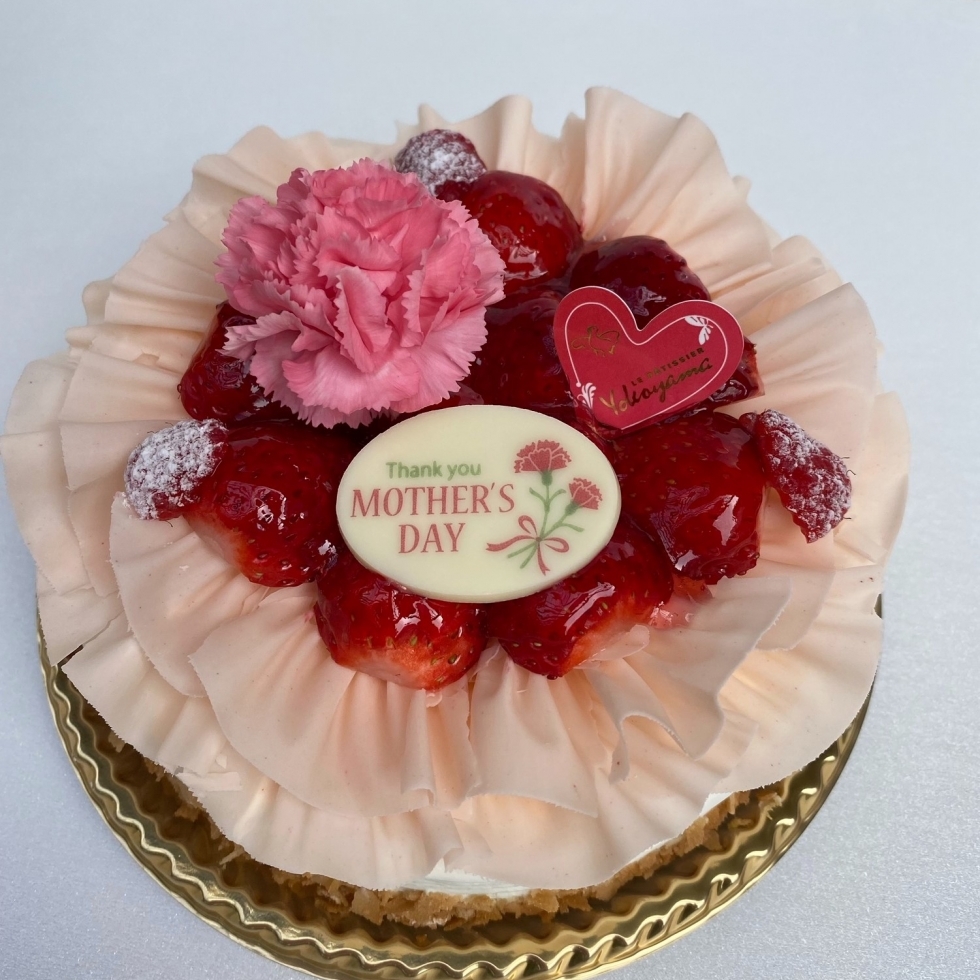 ��̓��V���[�g