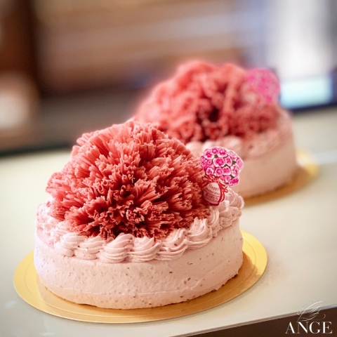 ��̓��J�[�l�[�V�����P�[�L