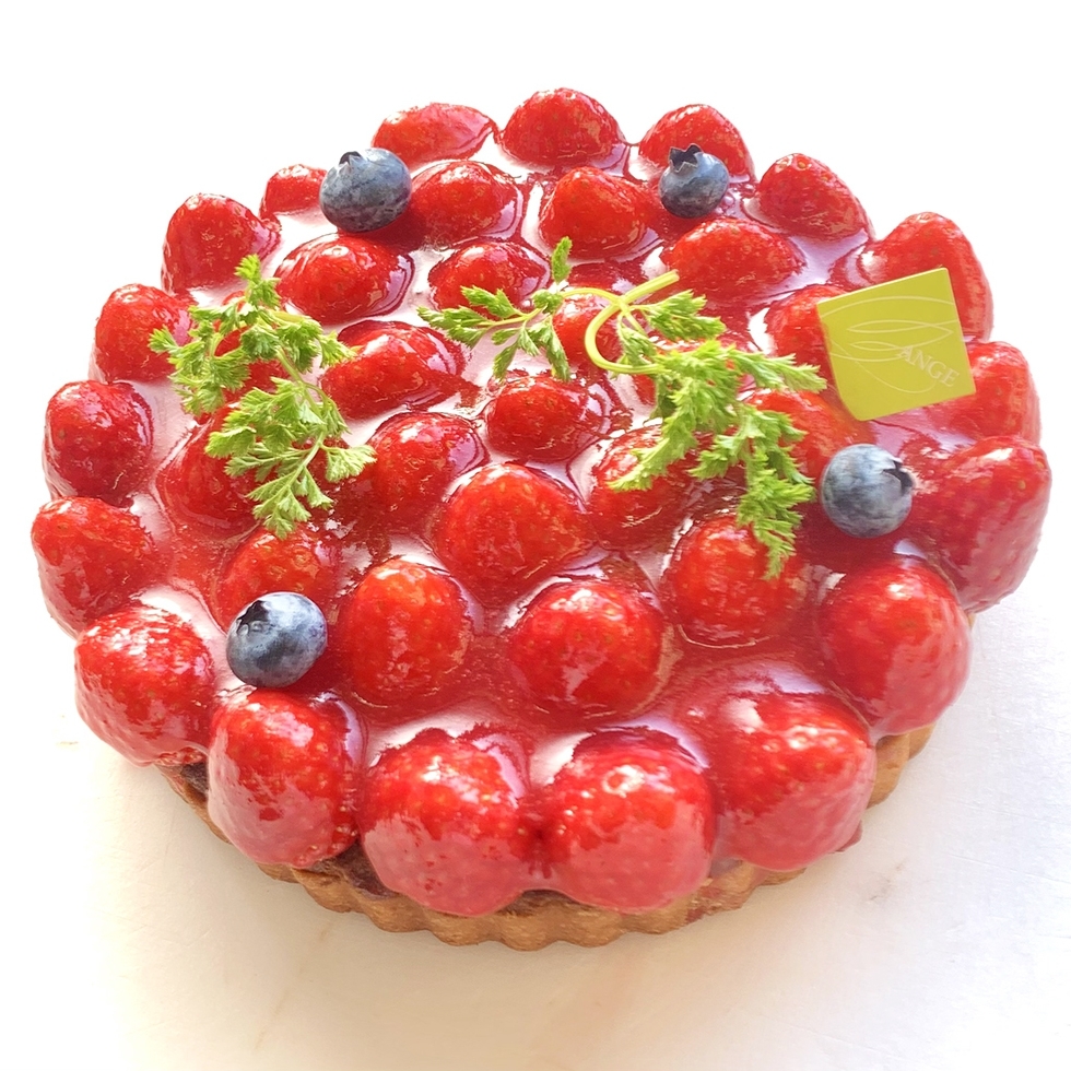 �^���g�E�t���[�Y