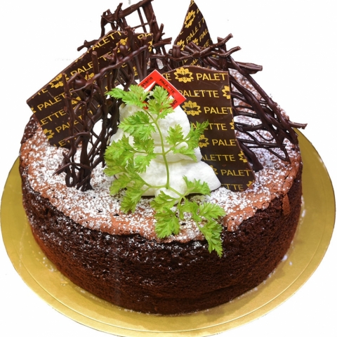 �N���b�V�b�N�V���R���@�T��