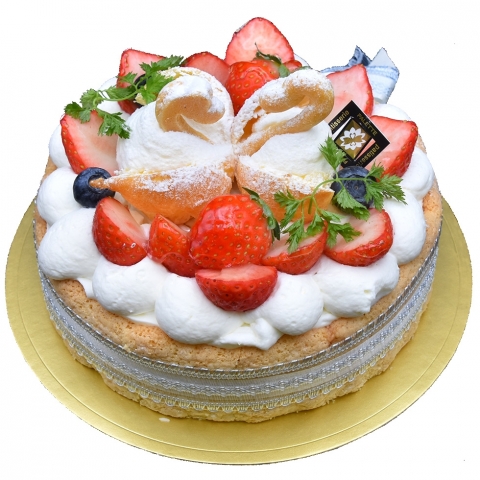 ���E�p���b�g�@�T��