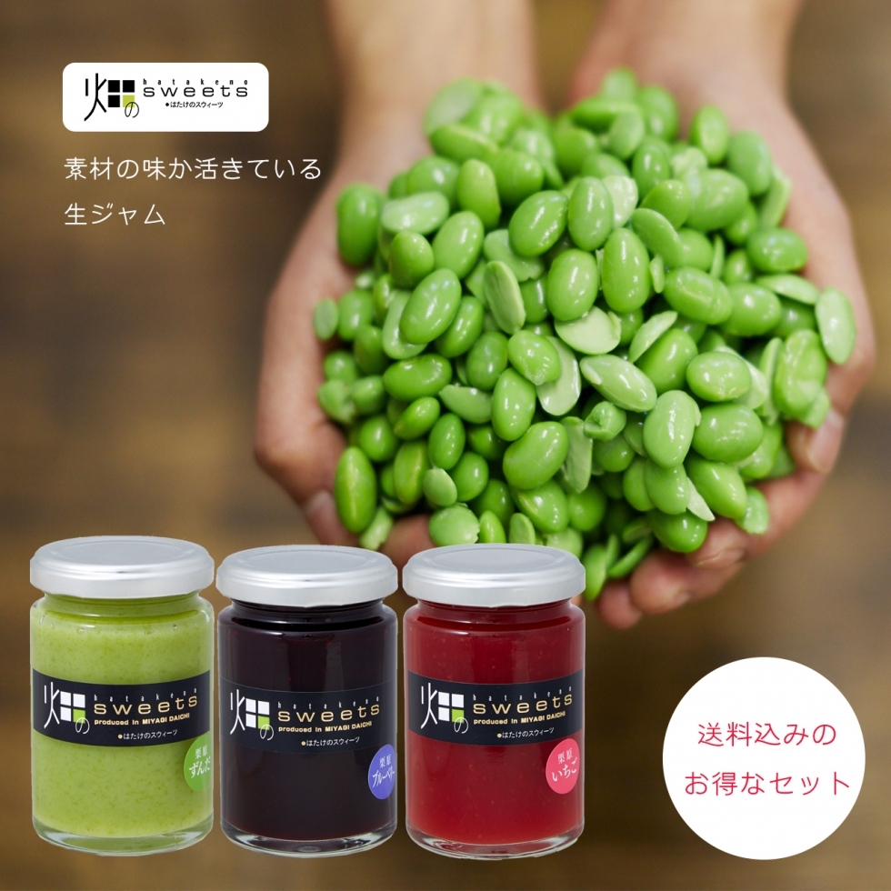 【送料込】旅ジャムセット くりはら生ジャムギフトB(苺・ずんだ・ブルーベリー)中瓶 3本入