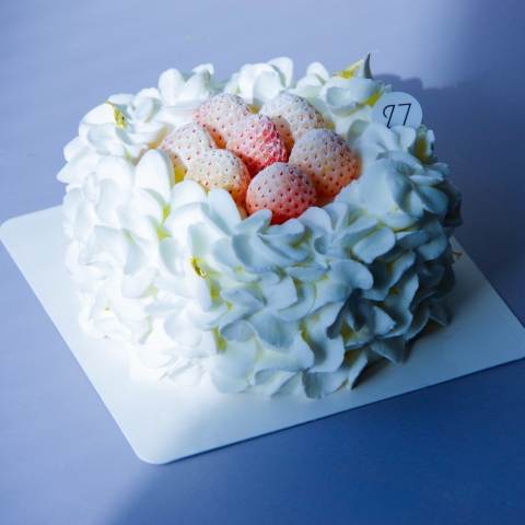 ����V���[�g�P�[�L