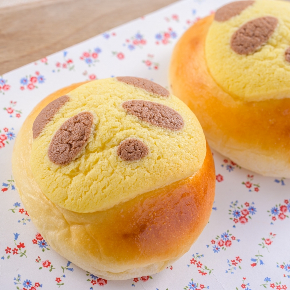 クリームパンダ