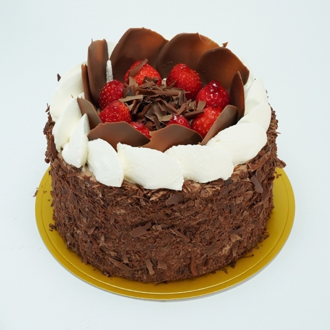 �t���[�Y�V���R��