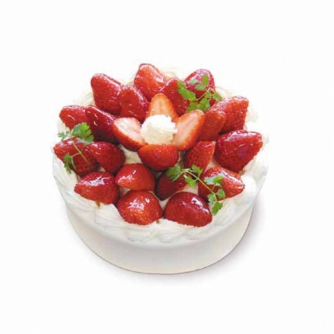 䕃X�y�V�����i���N���[���j