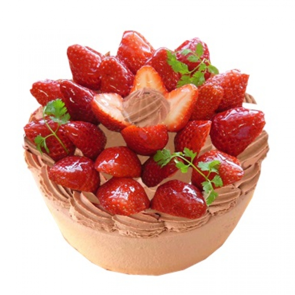 䕃X�y�V�����i���`���R�j