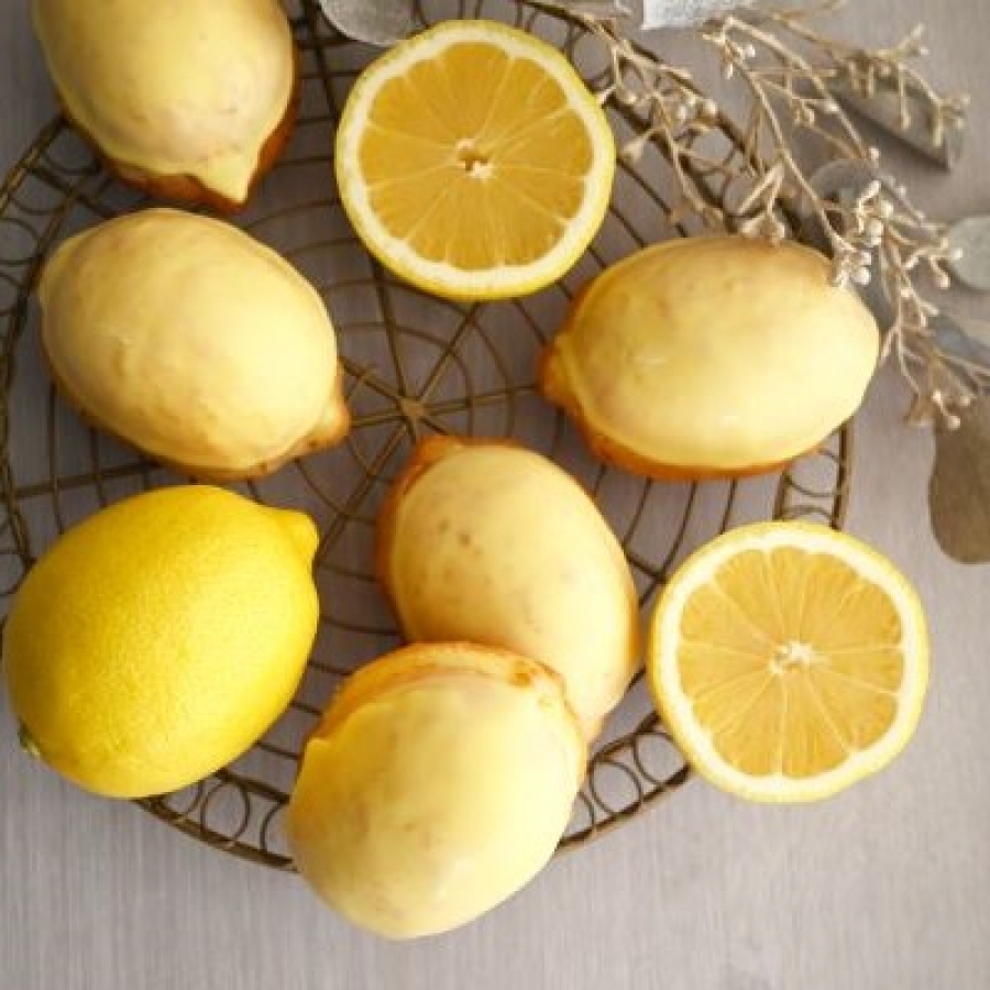 太陽のレモン 5個入 プチプランス