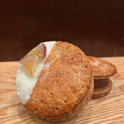 �N�C�j�[�A�}���E���X�N�E�p�^�h�D�[�X