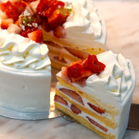 �V�����e�B�t���[�Y