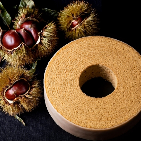 �Z��o�E���N�[�w���@�I