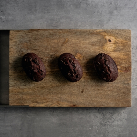 ���B�W�^���f�B�[�k�m�V���R���n