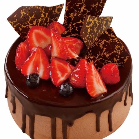 �O�����f�R���[�V�����i�V���R���\�[�X�|���j�V���[�gor�V���R��