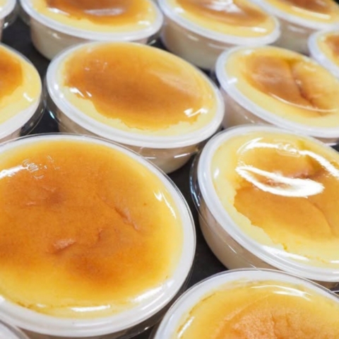 �v�Џo�`�[�Y�@�M�t�g