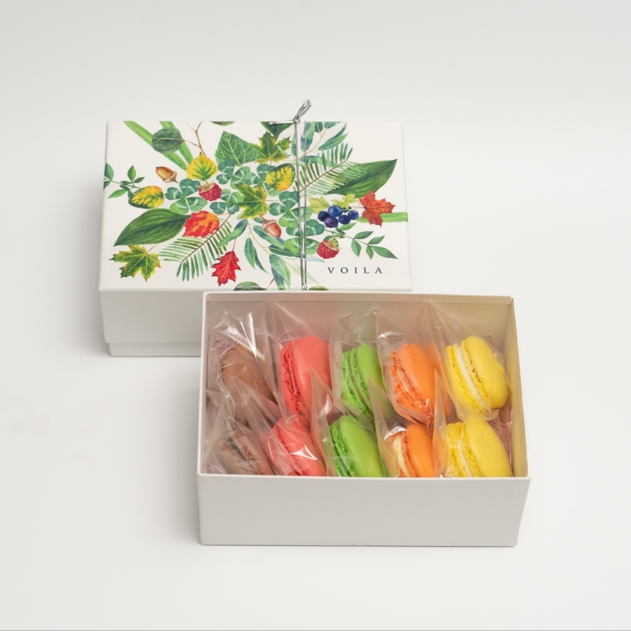 ヴィオラ　macaroon 918WSHg+6-S._UF894,1000_QL80_.jpg