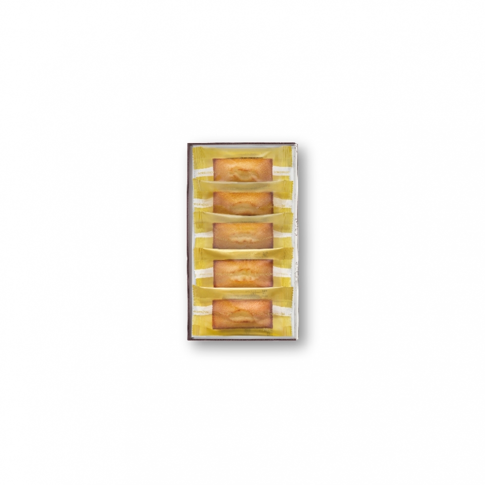 �t�B�i���V�F�T��