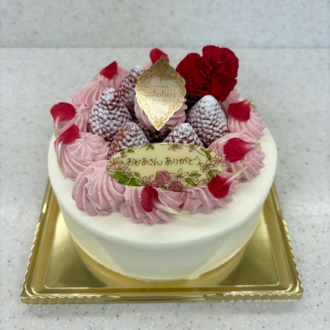 ��̓��f�R���[�V����