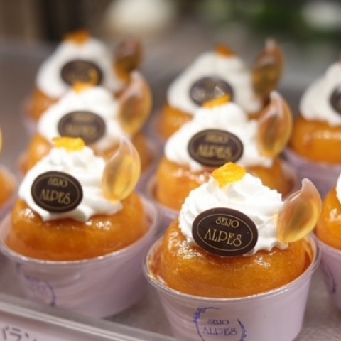 �T�o����