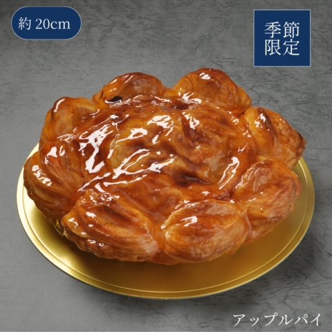 �A�b�v���p�C�@�U��