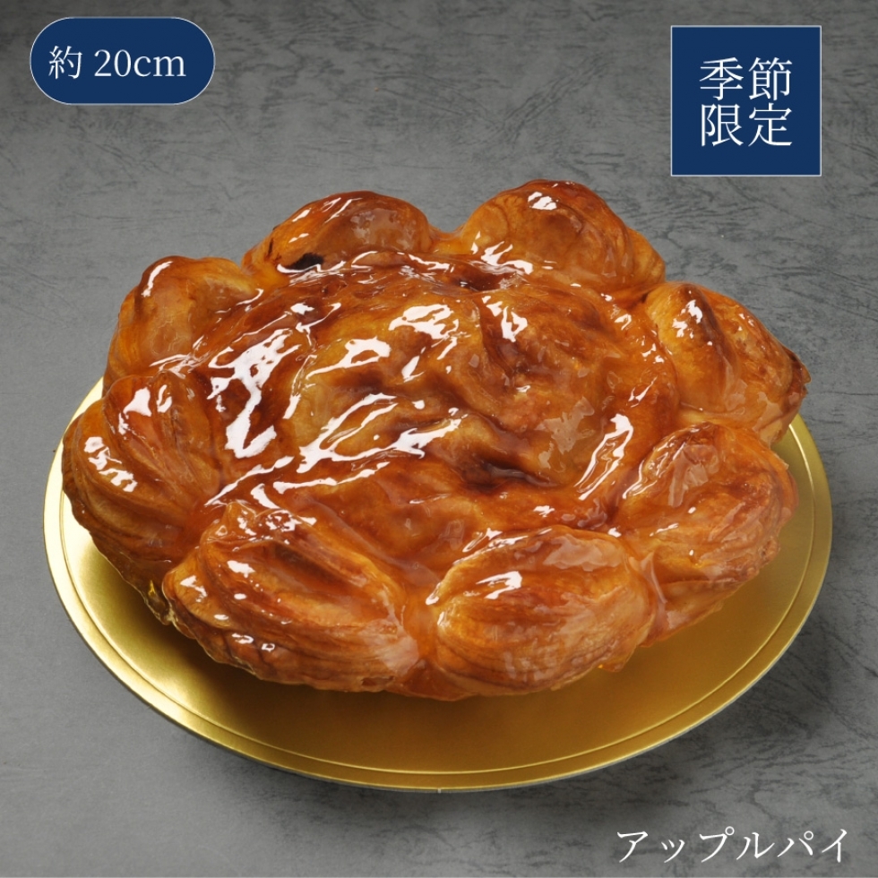 �A�b�v���p�C�@�U��