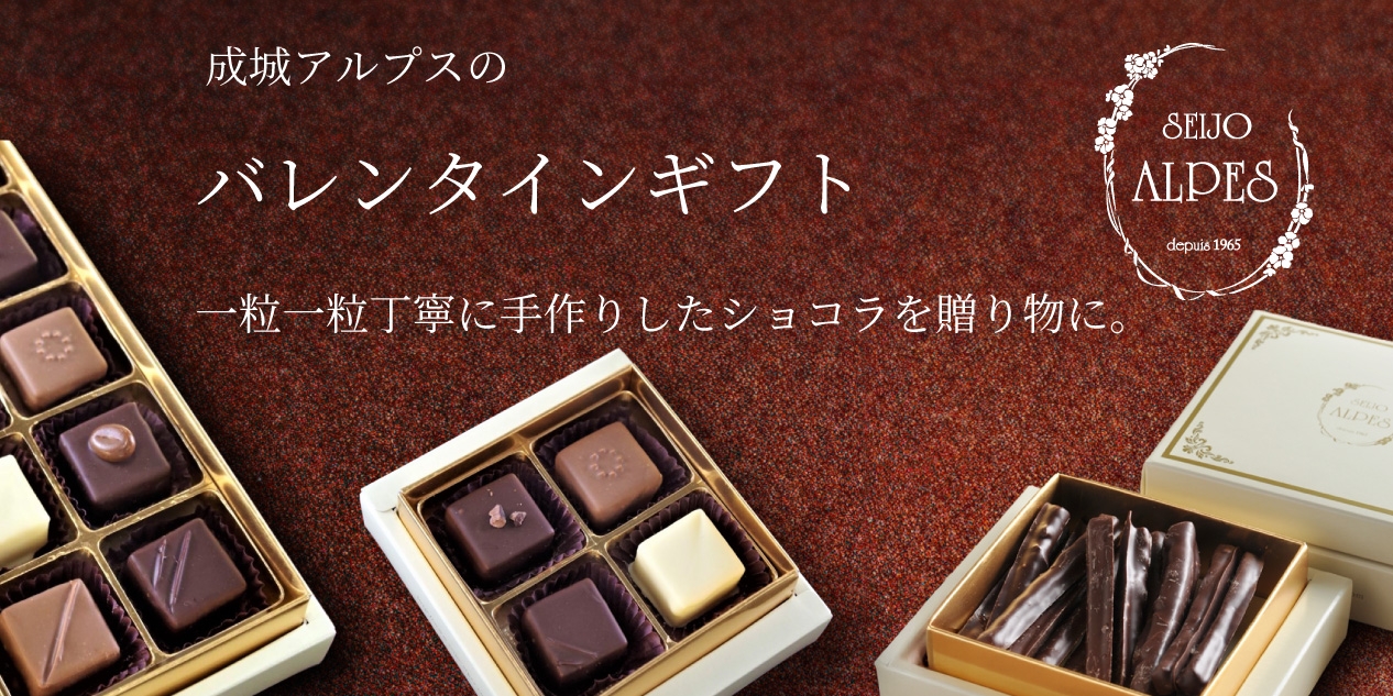 �o�����^�C���M�t�g