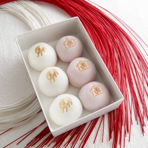 �������x�\��