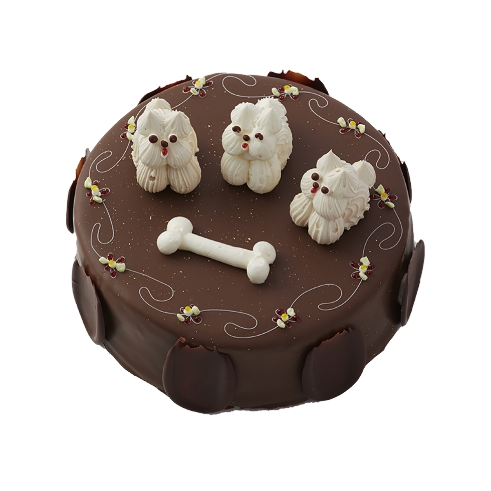 �`���R�̃f�R���[�V���� �i�n�[�h�R�[�e�B���O�j