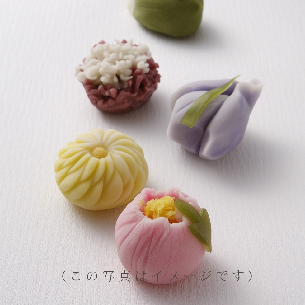 10月の上生菓子(5種)