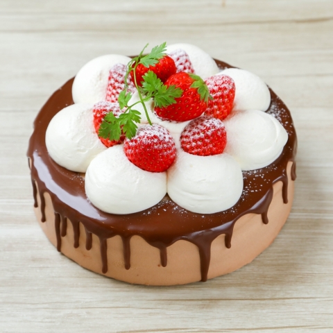 �K�g�[�V���R��䕃V���v��