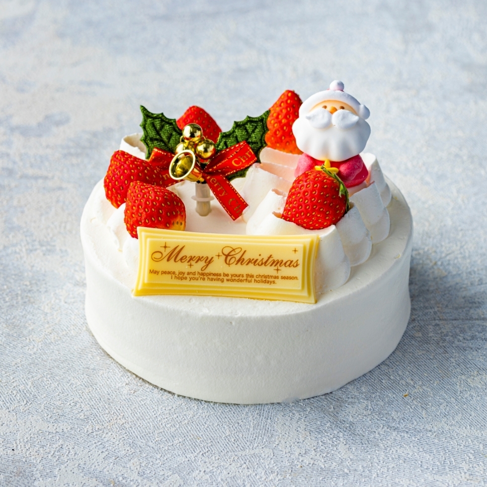 Bタイプ ハッピー・クリスマス
