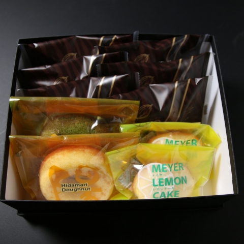 �V�F�t�fs�R���N�V����