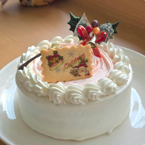 �N���X�}�X䕃N���[���V���[�g