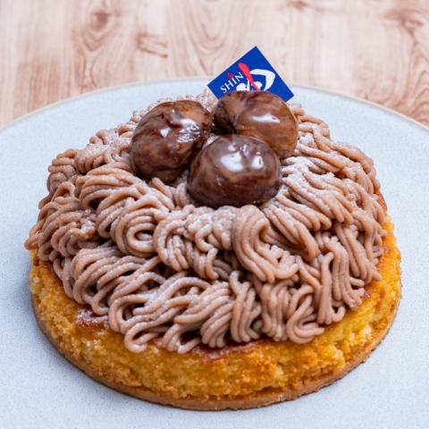 �����u�����^���g