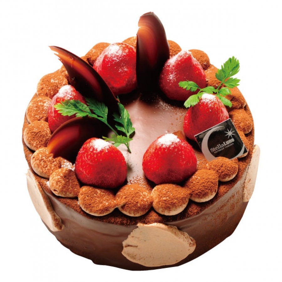 䕂̃V���R��