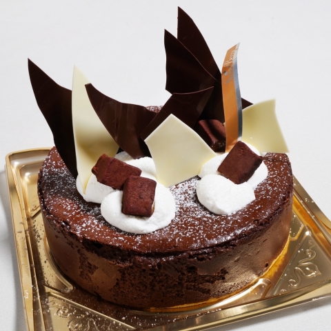 �����Ă��V���R��