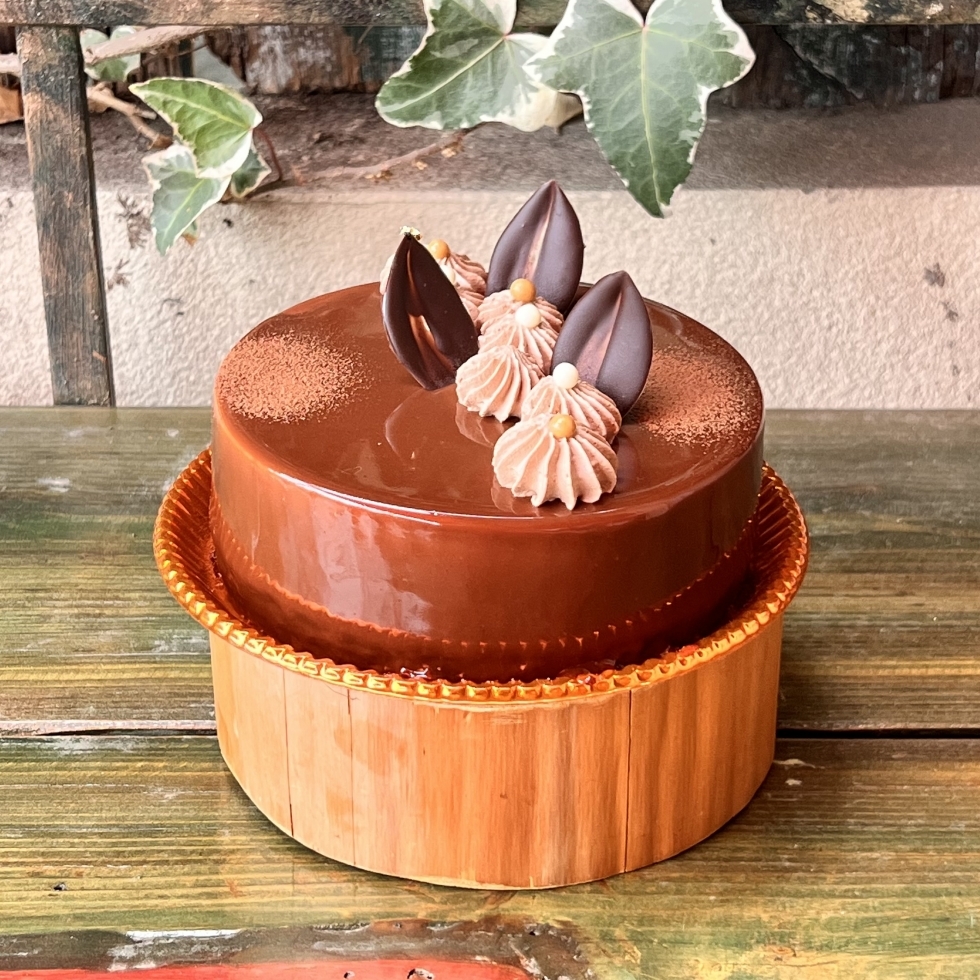 �h�D�[�u���V���R��