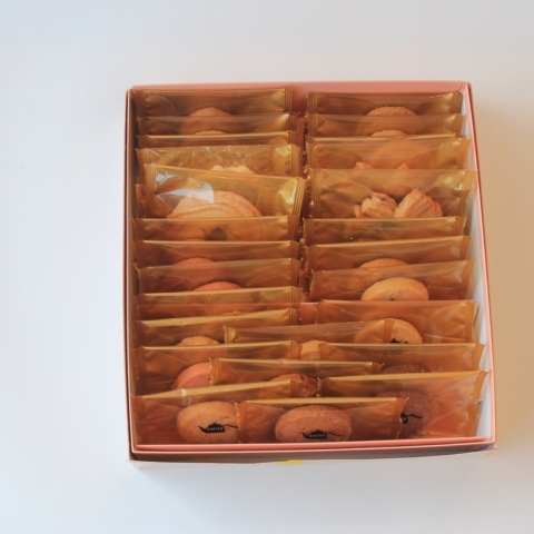 �N�b�L�[�M�t�gM�@�P6�ܓ���