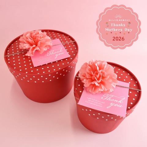 �y��̓����菤�i�z<br>�}�U�[�Y�o�X�P�b�g ��E��