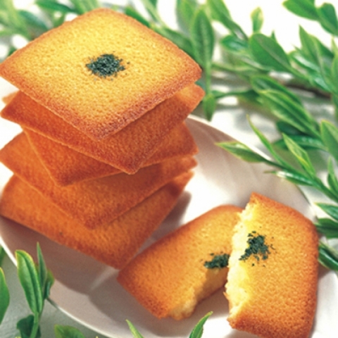 ���̗t�t���A��<br>�e��