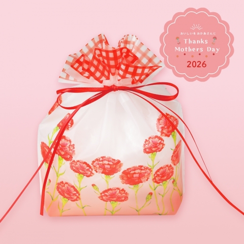 �y��̓��z<br>�y���ʌ���z<br>�J�[�l�o�b�O�@6��