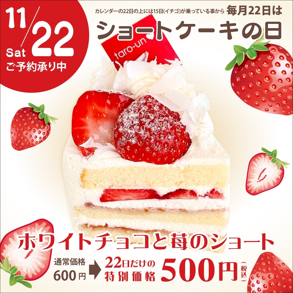 y11/22 zzCg`R䕂̃V[g