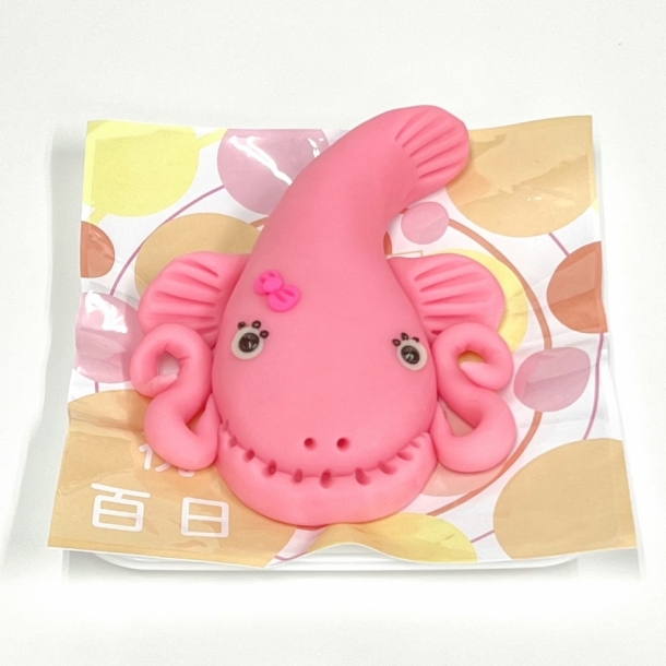 百日祝 なまずくん・なまずちゃん 風の菓子 虎彦 ご予約サイト