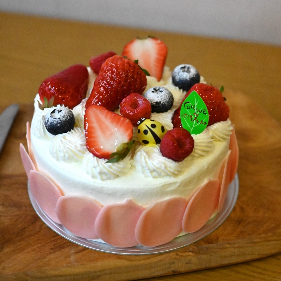 �K�g�[�o�j���E�t�����C