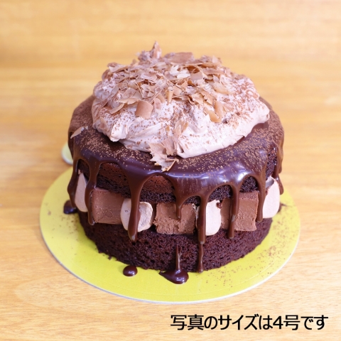 �`���R�܂݂�g���[���N���V�b�N�V���R��