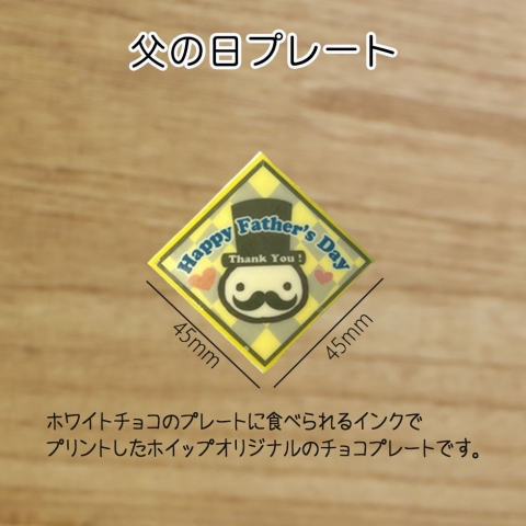 ���̓��v���[�g