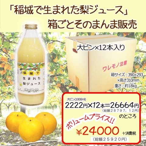 �y�����Ȕ������z���Ő��܂ꂽ���W���[�X��r��(1000ml)�P�P�[�X(12�{���j