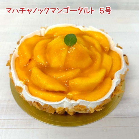 �}���S�[�̃A�[�����h�^���g