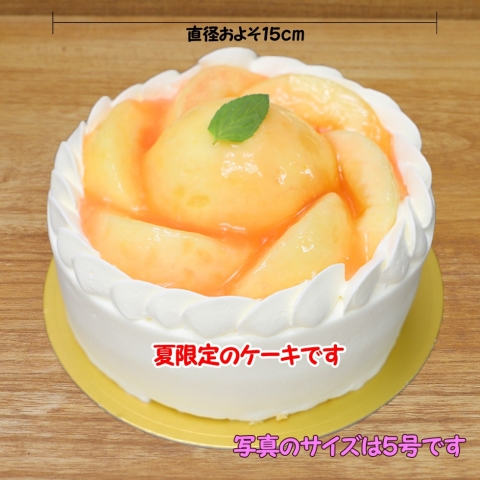 �����̐��f�R