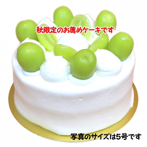 �V���C���}�X�J�b�g�̐��f�R